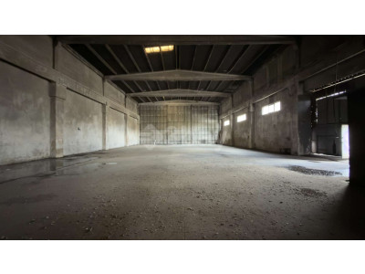 WhatsApp Image 2026-03-30 at 20.43.20.jpeg